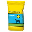 Barenbrug Persistent