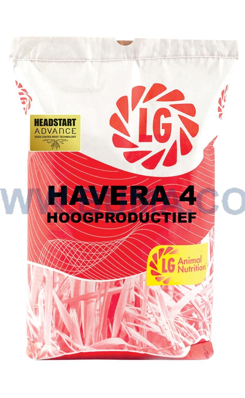 Havera 4 Hoogproductief met timothee en Headstart ADVANCE