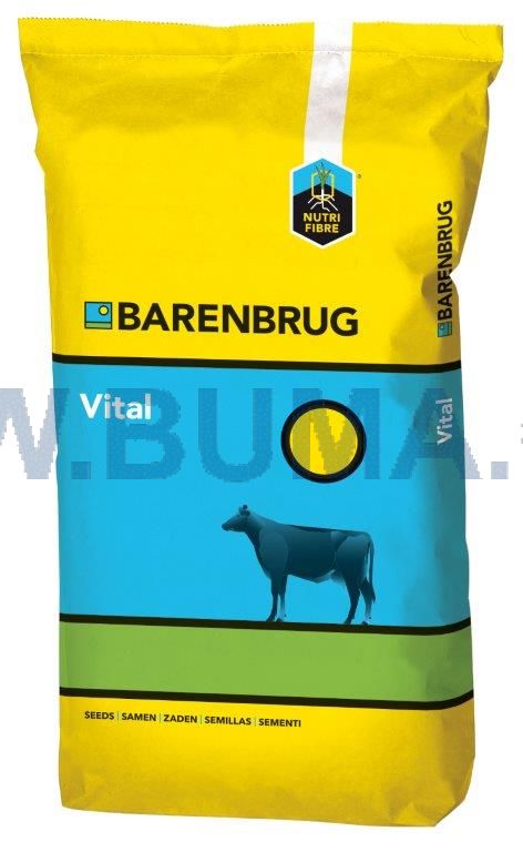 Barenbrug Vital