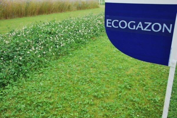 Ecogazon (5 kg)