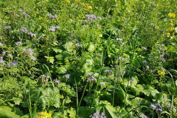 Vital Earth Biodiversiteit (20 kg)